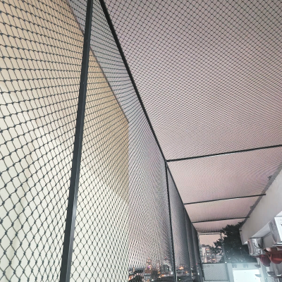 foto01